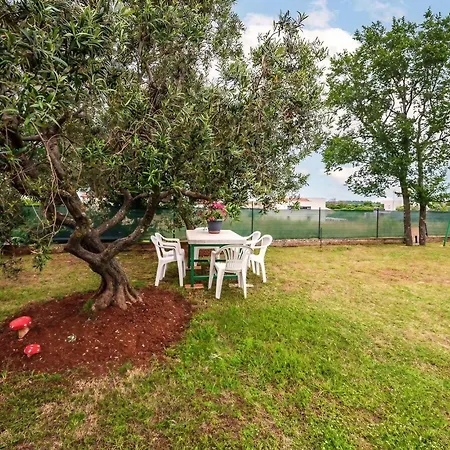 Casa de Férias Seaside Serenity
