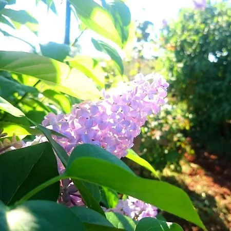 Vikendica Seaside Serenity *