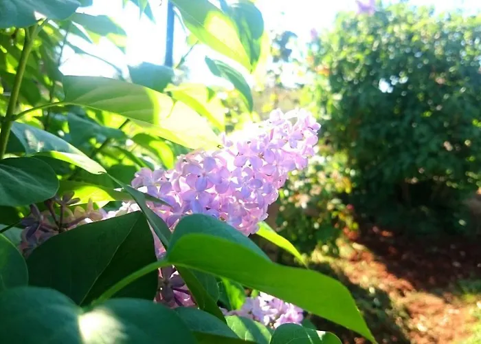 Feriehus Seaside Serenity *